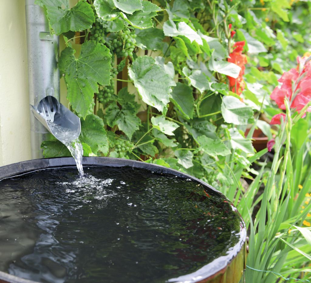 Regenwater in de tuin Hoe maak ik mijn tuin waterklaar?