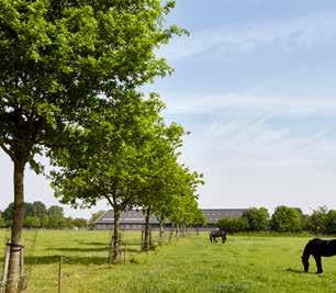 Bedrijf als economische drager voor natuur- en landschapsontwikkeling Jack Verhulst in Etten-Leur heeft op grote schaal geïnvesteerd in de kwaliteit van het landschap op zijn bedrijf.