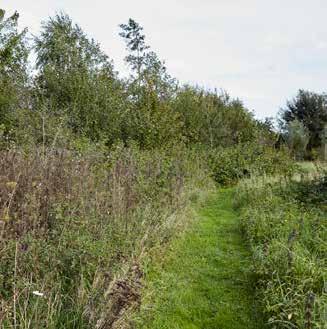 Kleinschalig hoevenlandschap Stan Kerkhofs: Mijn vrouw en ik houden echt van het buitengebied. Bij deze boerderij hoort een bepaald landschap. Dat wilden we herstellen.