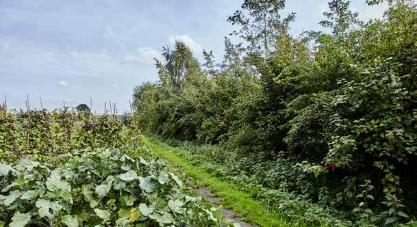 Stika SUBSIDIEREGELING GROEN BLAUW STIMULERINGSKADER Goed voor natuur en mens Het terugbrengen van de oude landschapselementen bij de boerderij is