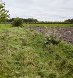 Kleinschalig landschap en biologisch bedrijf versterken elkaar Bij biologische boerderij t Schop in Hilvarenbeek brachten Jan en Cécile van den Broek het