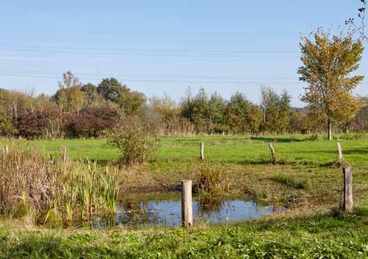 In 15 jaar tijd vormde hij zijn percelen om tot een bijzonder landschap met mooie doorkijkjes en prachtige kleuren.