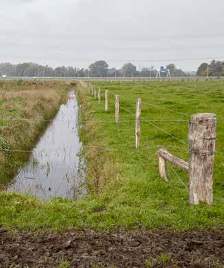 Bij het project waren de gemeenten Tilburg en Oisterwijk, Brabants Landschap, Waterschap De Dommel, Het Groene Woud, ZLTO en diverse boeren betrokken.