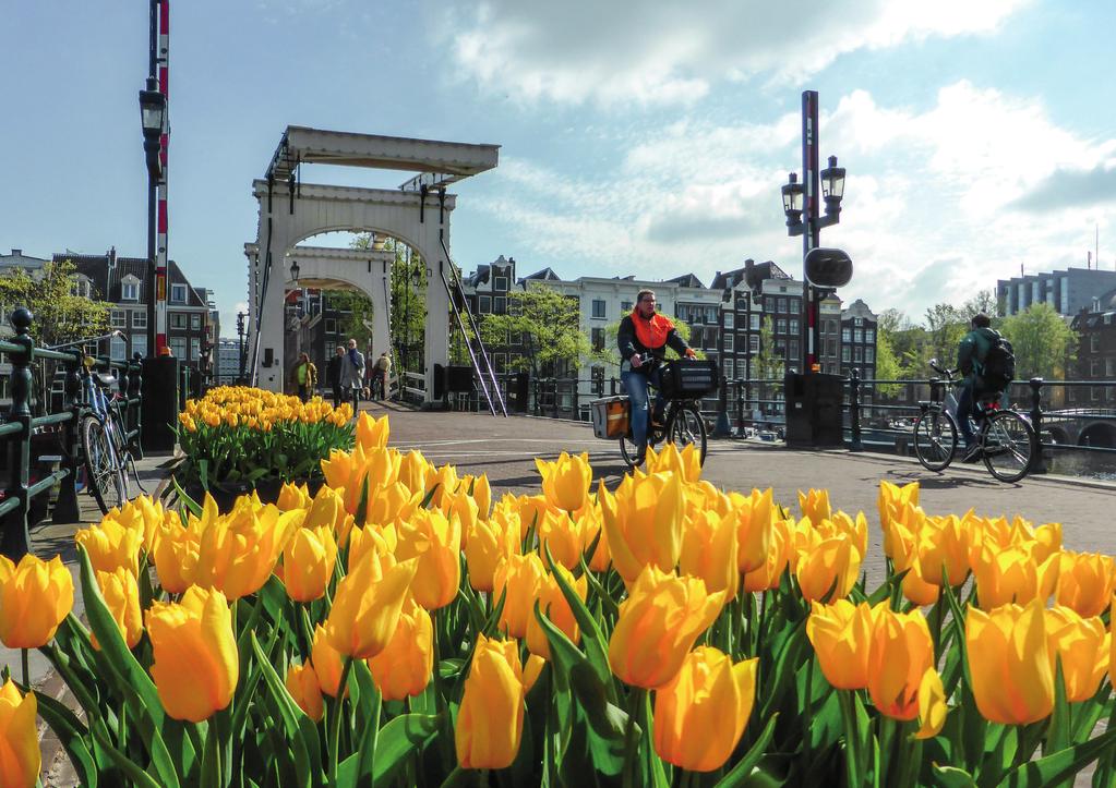 1 De Amsterdamse Leefsituatie-index De kwaliteit van leven, het welzijnsniveau, van Amsterdammers kan worden weergegeven in één getal, de Leefsituatie-index.