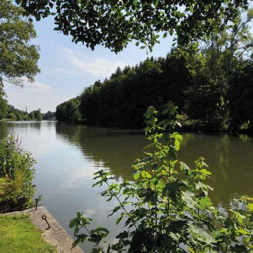 Op een steenworp van Dinant, niet ver van de Lessevallei, nodigt Castel Les Sorbiers je uit om zijn unieke toeristische omgeving te ontdekken en om te genieten van de voortreffelijke en befaamde