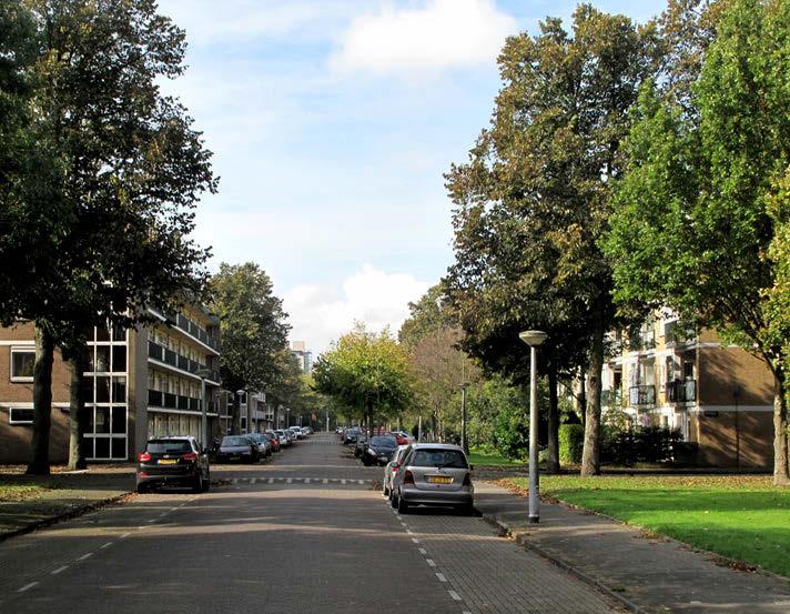 Wat zijn de kwaliteiten van het naoorlogs stedelijk groen, en welke plaats neemt Buitenveldert hierin in?
