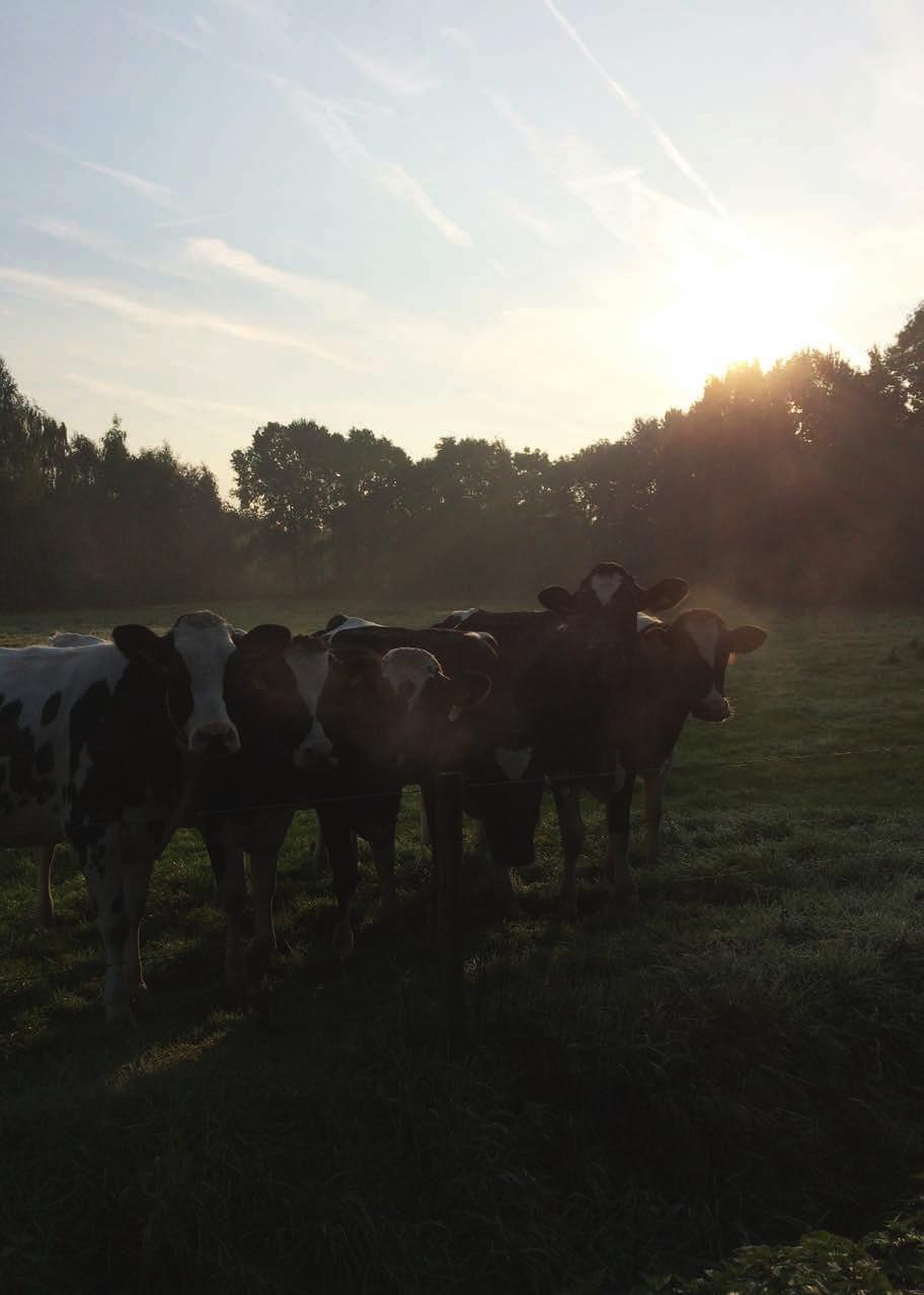 RONDJE USSELO Dorpsblad door en voor inwoners