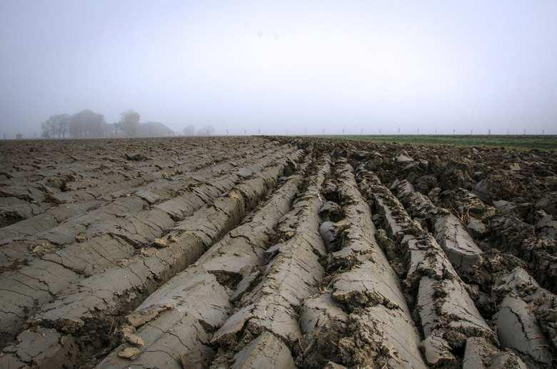 dooraderingvan bermen, dijken, oeversvan waterlopen, maar ook