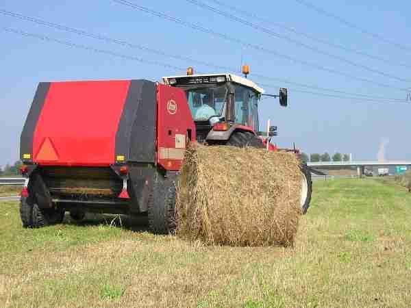 Grasbermen beheer noodzakelijk Zo n grote stikstofdepositie dat je met