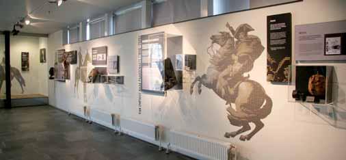 EN VERDER Het paard als patiënt 2500 jaar paardengeneeskunde Marianne Offereins / ROC Midden Nederland, Utrecht museumcollectie tegen: instrumentarium voor aderlatingen, brandijzers, maar ook een