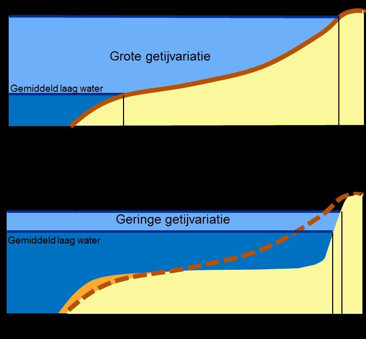 Bij een afname van de getijslag wordt de golfenergie geconcentreerd op een klein gebied, wat zorgt voor meer oevererosie met steilere hellingen, zie Figuur 18. Figuur 19 a.