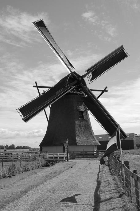 13 september Friese Molendag Zaterdag 13 september wordt voor de 10e keer de Friese molendag georganiseerd. Ruim 80 molens rondom in de provincie zullen hun deuren openzetten voor het publiek.