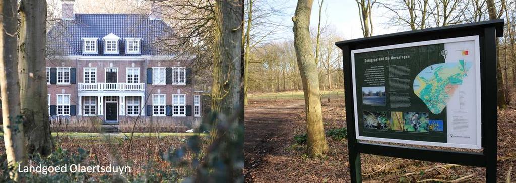 Deze zijn onderdeel van het cultureel erfgoed van Westvoorne en zijn van waarde voor recreanten en voor plant en dier.