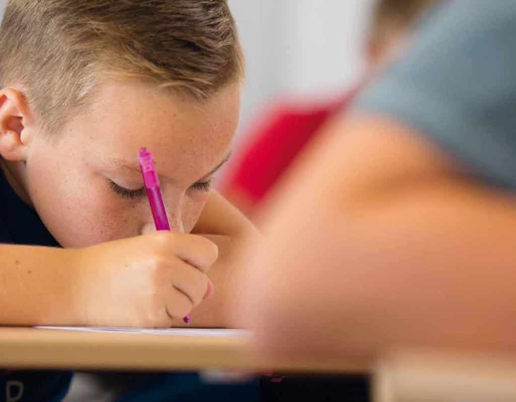 Je doet gewoon havo of vwo, maar verdiept je misschien in de Chinese taal en cultuur, sport, gaat naar de theaterklas, strijdt voor een schone wereld, discussieert, doet extra Frans of