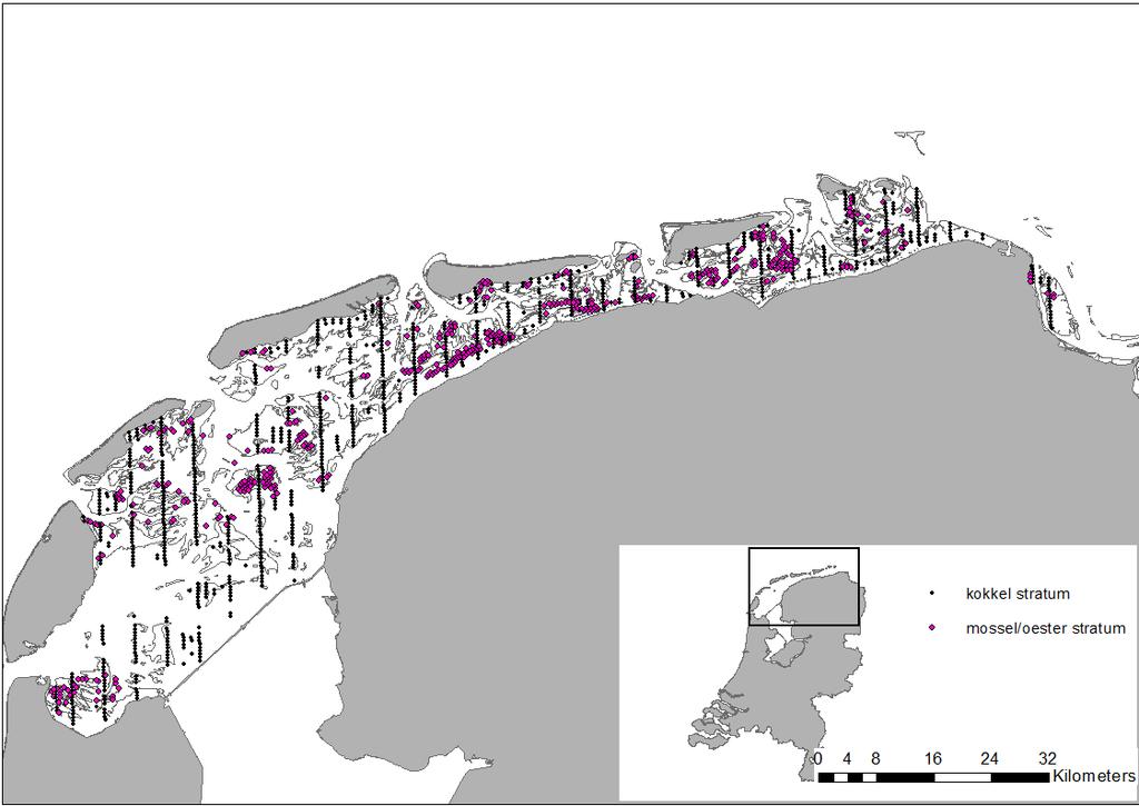 Figuur 4: Monsterlocaties ten behoeve van de bestandopname van mosselen en oesters in de Waddenzee in 2017.