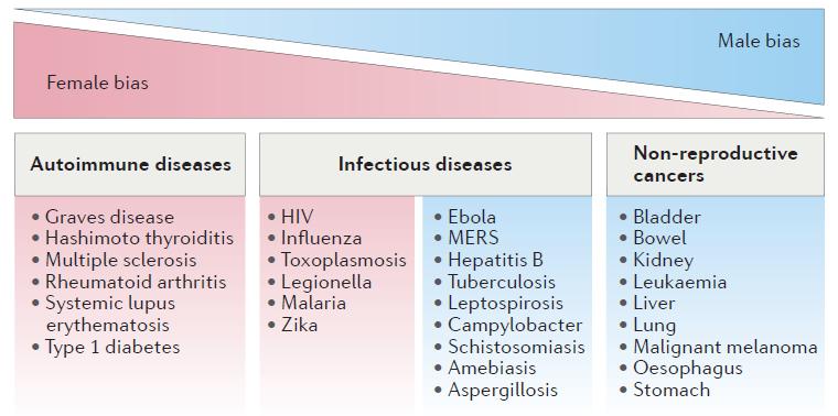 Sex bias in infectious diseases, inflammatory diseases