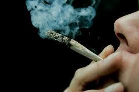 Gezondheidsschade Veruit meeste consumptie van cannabis gebeurt in Nederland in combinatie met het roken van tabak Tabaksrook: teer, koolmonoxide, nicotine Longziekte Kanker Hart- en vaatziekten