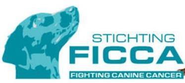 BELEIDSPLAN STICHTING FICCA 2014 2015 Stichting FICCA 3 e Ebbingestraat 21