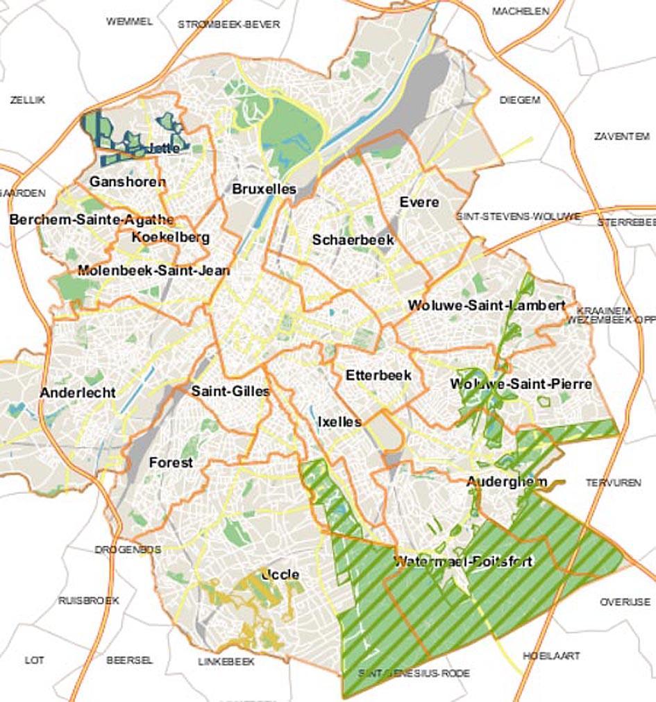 Watervleermuis Gewone dwergvleermuis Natura2000 Overeenkomstig een Europese richtlijn dient het Brussels Gewest (net als andere regio s) een aantal soorten te monitoren in daartoe vastgelegde