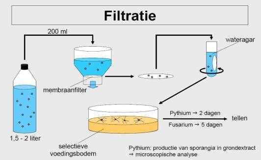 Mycologisch onderzoek: filtratie Schimmels in water VOORDEEL: Kwantificatie (exacte aantallen)