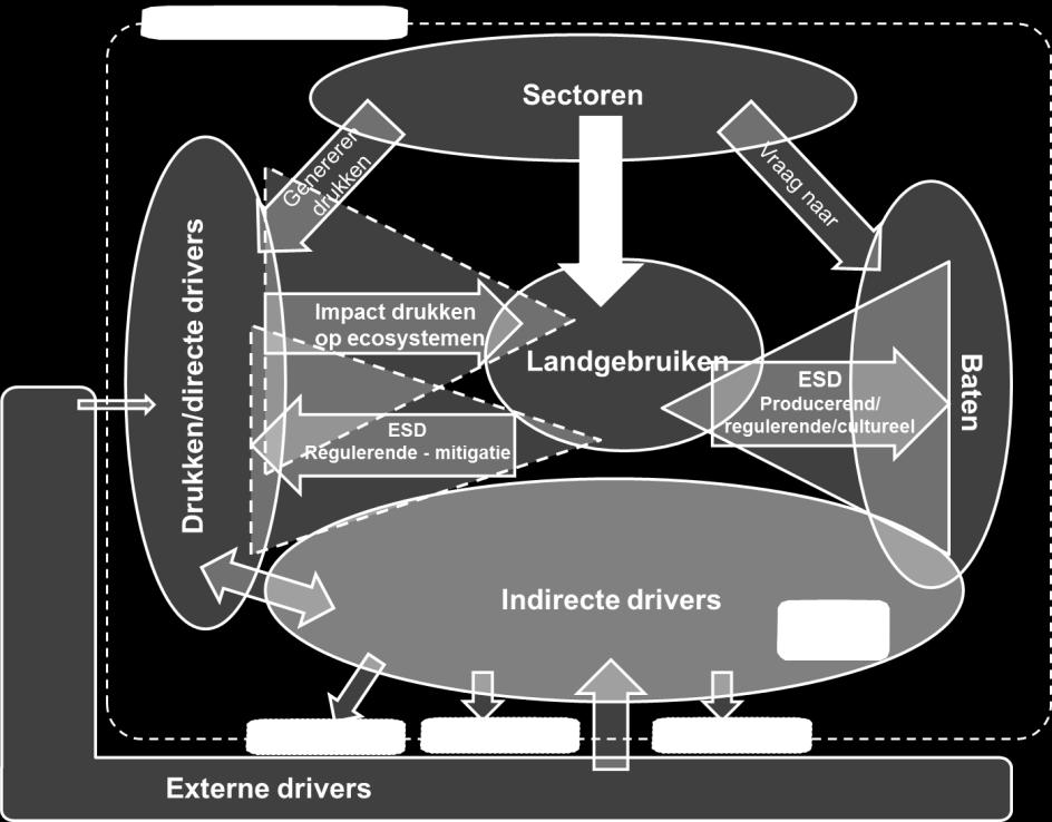 Het is een schematische weergave van hoe Vlaanderen op hoofdlijnen werkt en welke mechanismen de levering van en de vraag naar ecosysteemdiensten beïnvloeden.