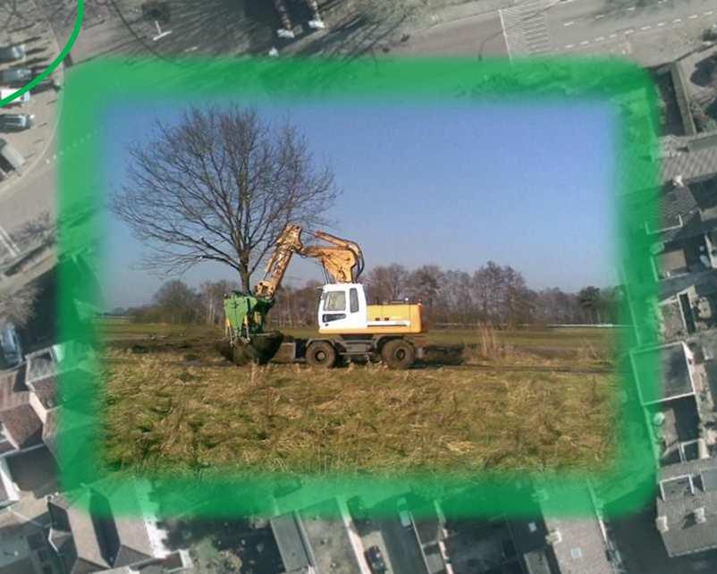 Enekele bomen zijn niet geschikt, van onvoldoende