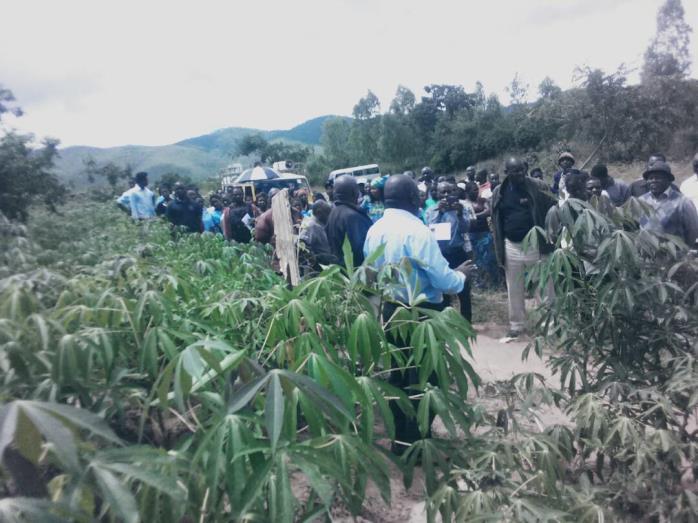 Projecten in regio Rumphi Eind vorig jaar zijn in de plaatsen Katope en Phwezi (beide in de buurt van Rumphi) pilotprojecten uitgevoerd op het gebied van biologische landbouw (in Malawi ook wel