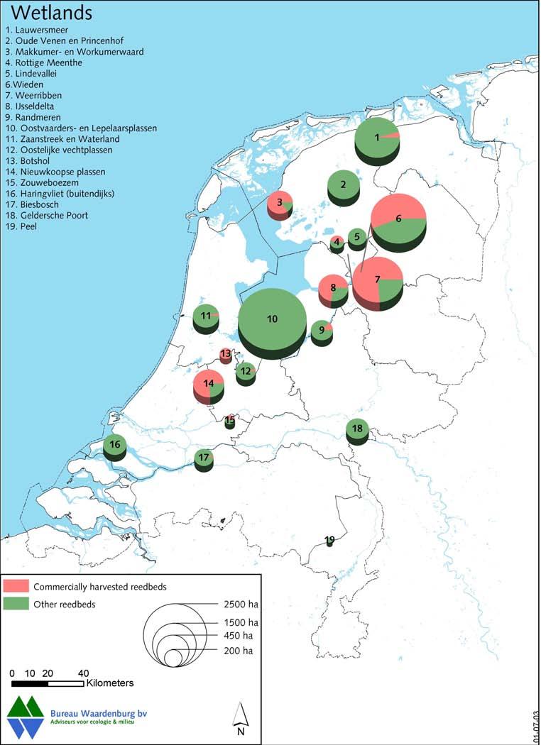 Rietoogst en moerasvogels