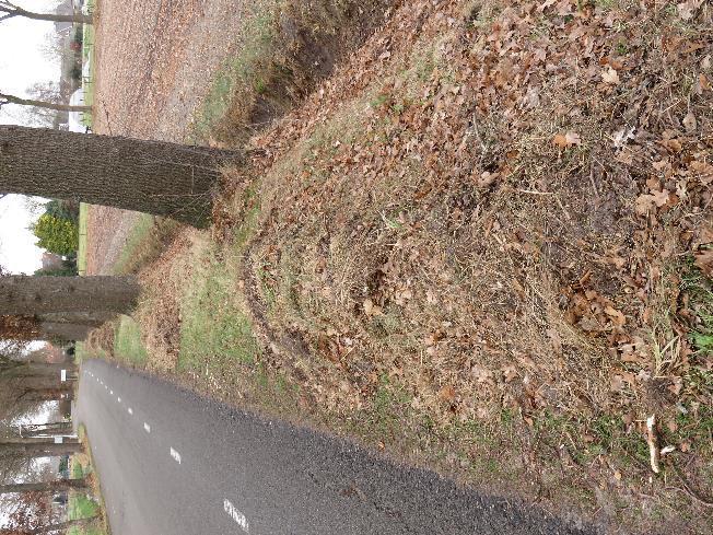 -8- Arrierveldsweg: Westkant, net ten noorden van het viaduct.