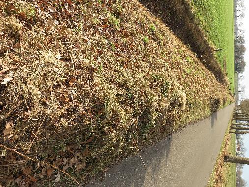 Wordt voornamelijk gebruikt door de aanwonenden. Brede bermen met aan de noordzijde eikenbomen. Sloten aan beide zijden vrij ondiep en zonder water.