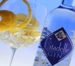 Gin - vervolg Citadelle - Frankrijk alcohol inhoud cl fles > 6 flessen > 24 flessen 65055 Citadelle gin 44 70 32,05 30,95 29,85 Franse gin, gedistilleerd uit 19 kruiden, door cognac Gabriel.