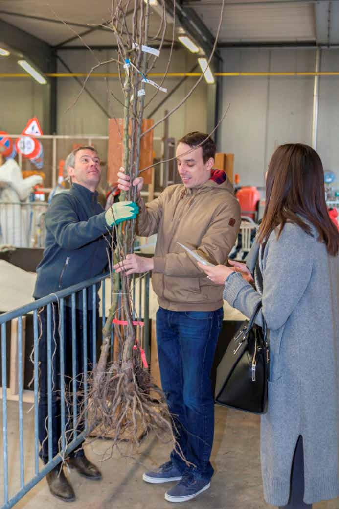 Voorjaar 2016 organiseerde Stad Aalst een groepsaankoop van half- en hoogstammige fruitbomen aangevuld met bessenstruiken en dit in samenwerking met de Nationale Boomgaardenstichting vzw.