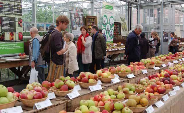 Nationale Fruittentoonstelling De Nationale Boomgaardenstichting (NBS) organiseert jaarlijks een fruittentoonstelling met maar liefst meer dan 500 hoogstam appel-