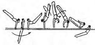 handstand op 1 legger in (Carminucci) parallelsteun (ook met 1/4 of ¾ draai) (Bilozerchev Peters) (Dimic) 13.