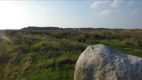 Meerland Wordt meegenomen in