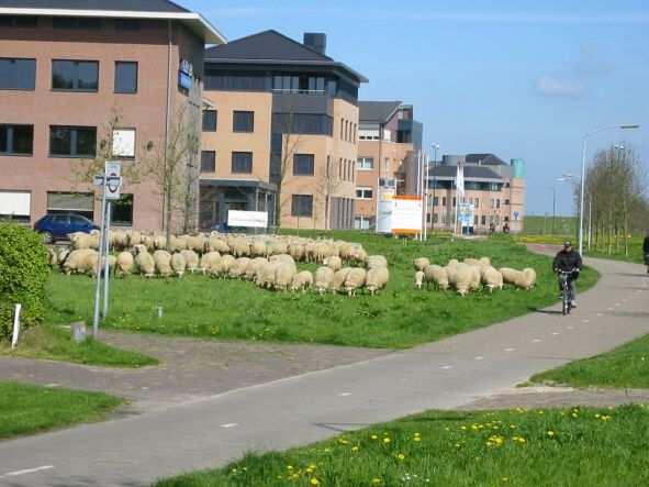 Door het gehele Land van Cuijk lopen fiets- en wandelroutes, deze maken tevens gebruik van de hoofdontsluitingswegen. Groen en water Beugen is een kleine kern in een open, agrarisch landschap.