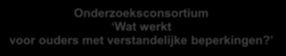 HOE ZIET DAT ER CONCREET UIT? Bouwen aan de gehechtheidsrelatie met hun kind: VIPP-LD Overdragen van leeftijdsadequate kennis over de opvoeding van de kinderen. Aanleren van opvoedingsvaardigheden.