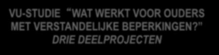 In kaart brengen/begeleiden/behandelen van persoonlijke problematiek; werken aan persoonlijke groei/stabiliteit Leren om zo zelfstandig mogelijk de financiën te beheren.