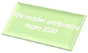 AMCRA VISIE 2020 Een ambitieus maar realistisch plan inzake het antibioticabeleid in de diergeneeskunde tot 2020 1.