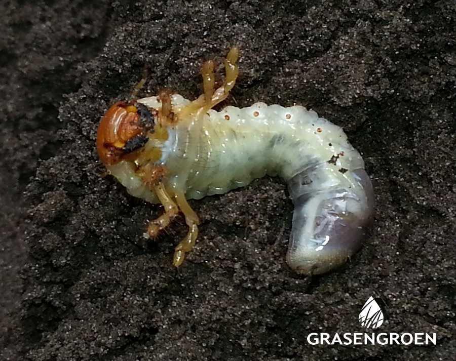 Daarom hebben we het dit jaar anders aangepakt en zijn later (08.00 uur) van start gegaan.