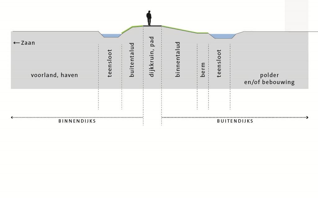 De kruin van de dijk is ongeveer twee meter breed en op een deel ligt een wandelpad. Qua hoogte en vorm heeft de dijk grote overeenkomsten met de Noorddijk (zuidelijk gelegen).