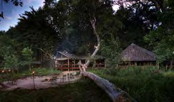Het Kwara Camp is een klein en intiem luxe tented camp bestaande uit 8 tented chalets welke op houten palen zijn gebouwd onder schaduwrijke bomen met uitzicht op de omringende grasvlakte en