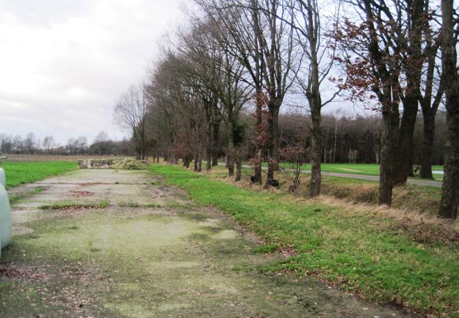 Zuidzijde van het erf, het erf wordt deels omzoomd met Italiaanse populieren. In het landschap liggen waardevolle landschapsstructuren van eikenbomen.