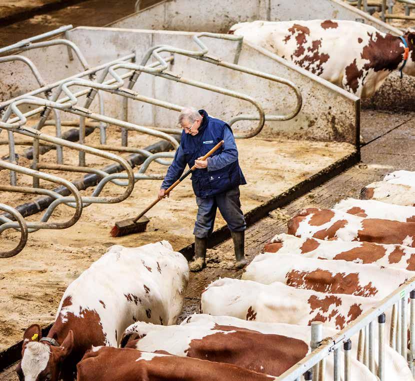 Slimme stalinrichtingsconcepten Stalinrichting door Spinder gaat verder dan het leveren van producten.