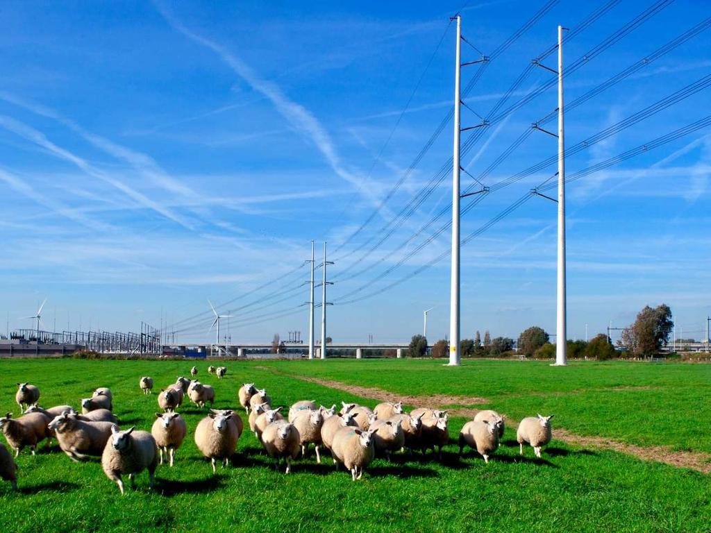 : rank, strak vormgegeven ensemble van masten, kleiner van formaat. Terughoudend in het landschap. Gestileerd in silhouet, minimalistisch vormgegeven.