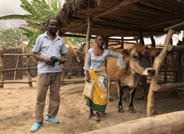 Boerinnen in melkveehouderij - Malawi Voortgangsrapportage juli - december 2017 Women Integrating in Nutrition Dairy Value Chain (WINDVC) Projectperiode: juli 2017 - juni 2020 Korte omschrijving