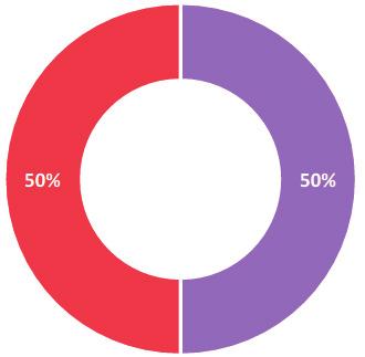 EVENWICHTIGE belegger Strategie ETHISCH Een strategie waarbij de groei van het kapitaal op middellange tot lange termijn wordt vooropgesteld, wetende dat deze op korte termijn kan schommelen.