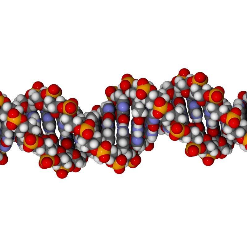 Voorbeeld: DNA bestaat uit gewone niet-levende