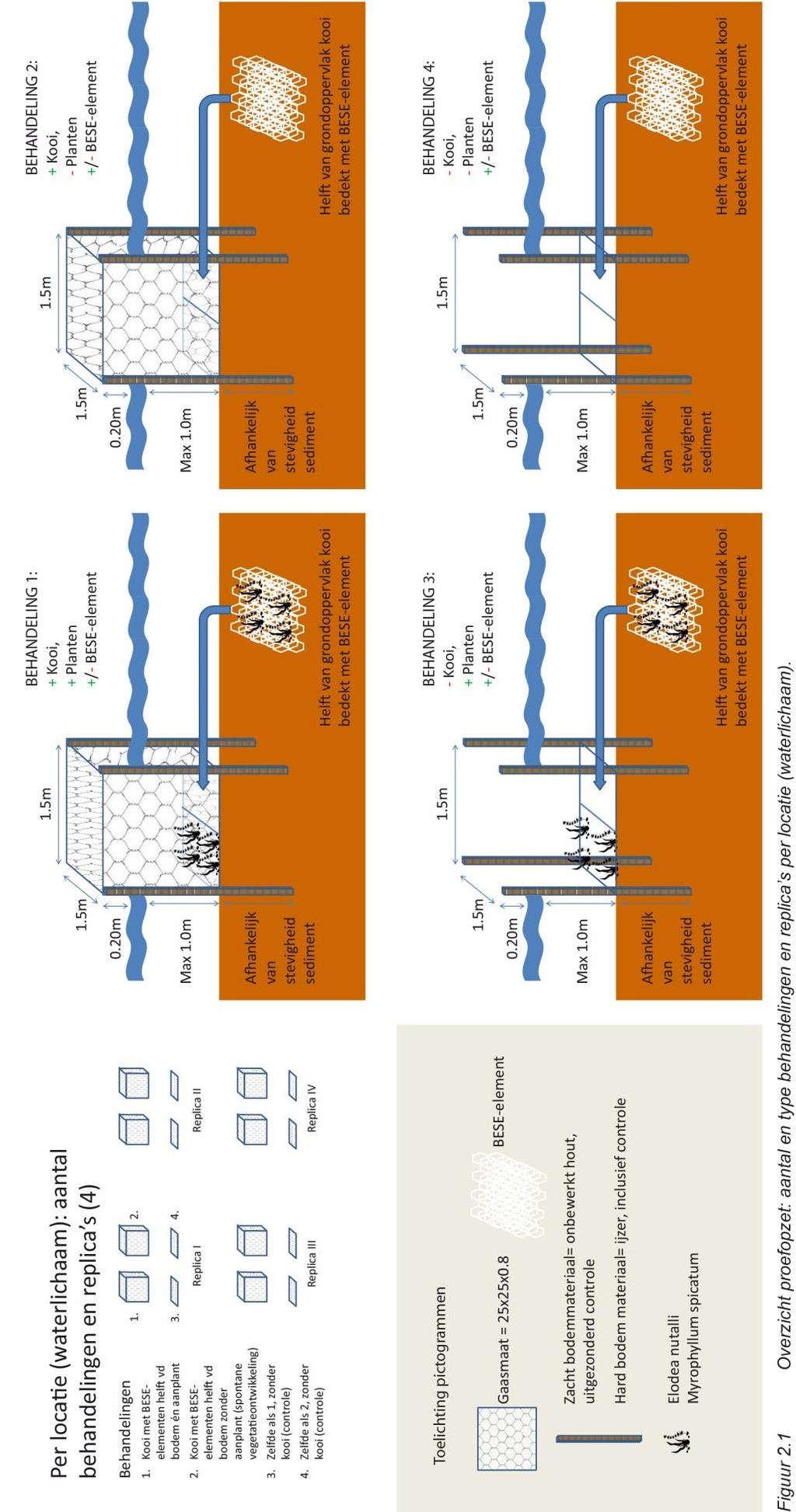integraal veldexperiment SAP&TerraNova -vraat -sediment