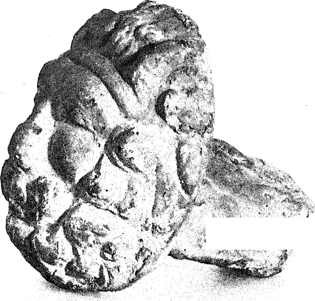 in het zuidelijke gedeelte van de sleuf is vrijwel alleen Zuidgallische terra sigillata aangetroffen. Tot de vondsten die in deze werkput zijn gedaan, behoren de volgende stempels: o f.